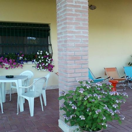 Villa Gioconda Resort Migliarino Екстериор снимка